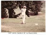 1987-lmvd-degray--art ward