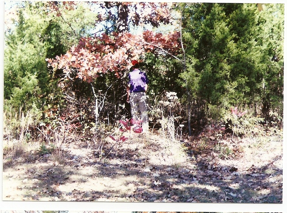 1993-tdl  bader looking for the nature trail