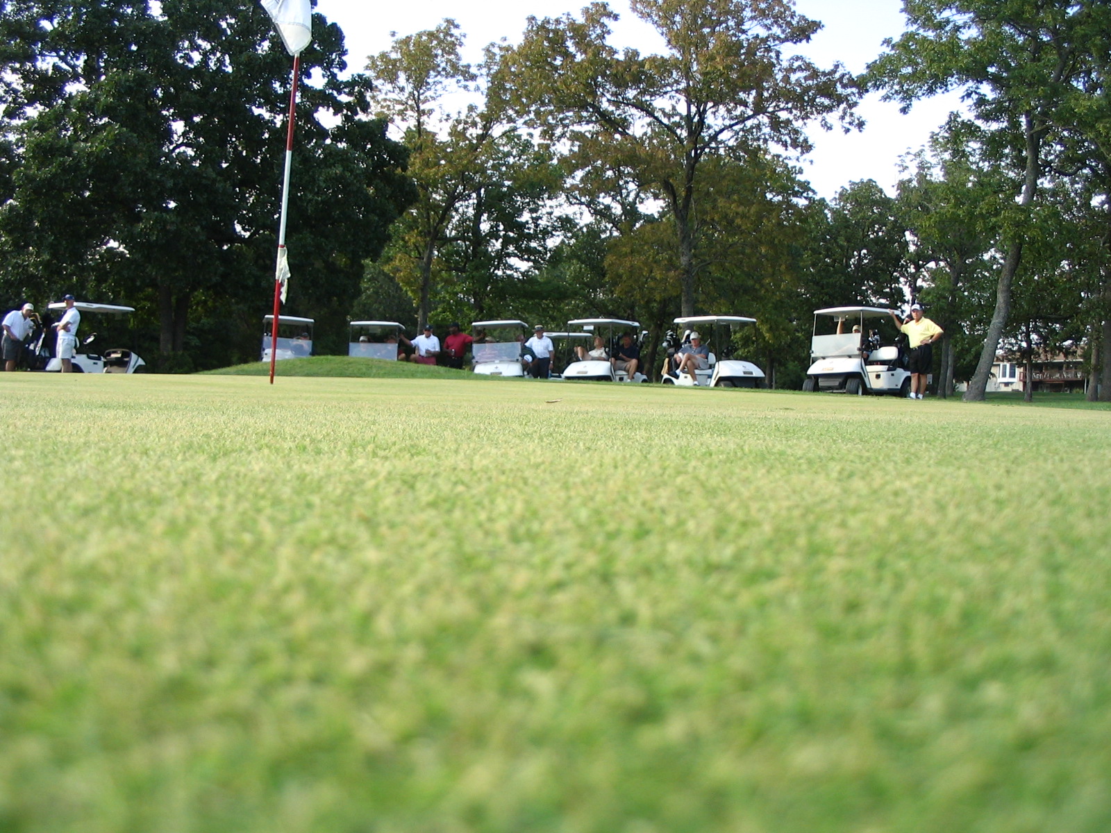 2008 TDL--valley course--worm's eye view of 9th green