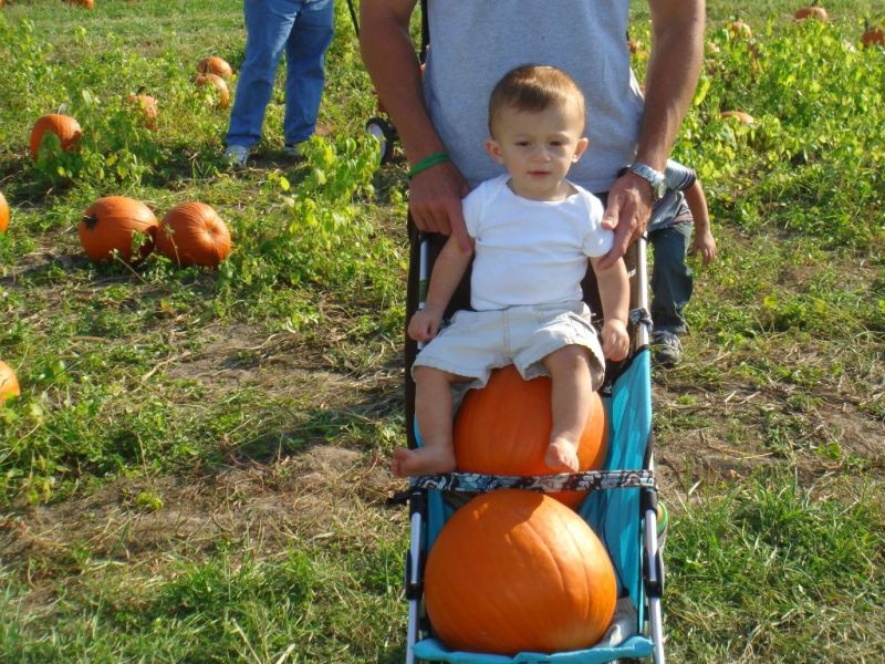 Sharing the Stroller