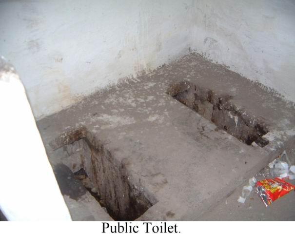 TN PublicToilet