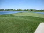 2010 Crown Pointe--5th green--Schwalbe Meldrum Johnson & Mills eagled it in scramble